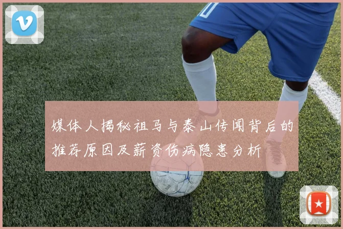 媒体人揭秘祖马与泰山传闻背后的推荐原因及薪资伤病隐患分析