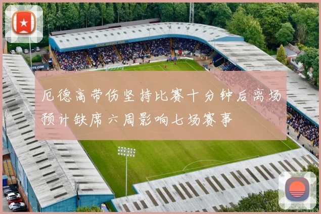 厄德高带伤坚持比赛十分钟后离场预计缺席六周影响七场赛事
