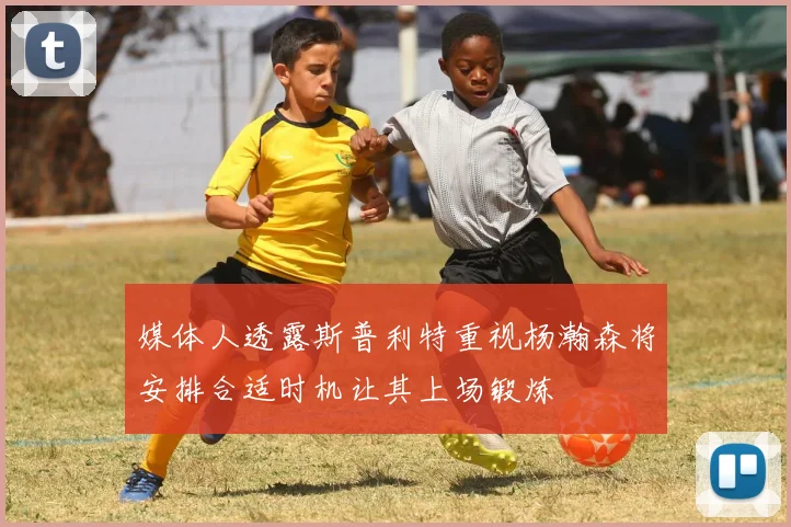 媒体人透露斯普利特重视杨瀚森将安排合适时机让其上场锻炼